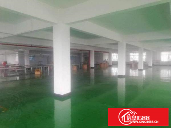 泰美全新地坪漆厂房出租分租