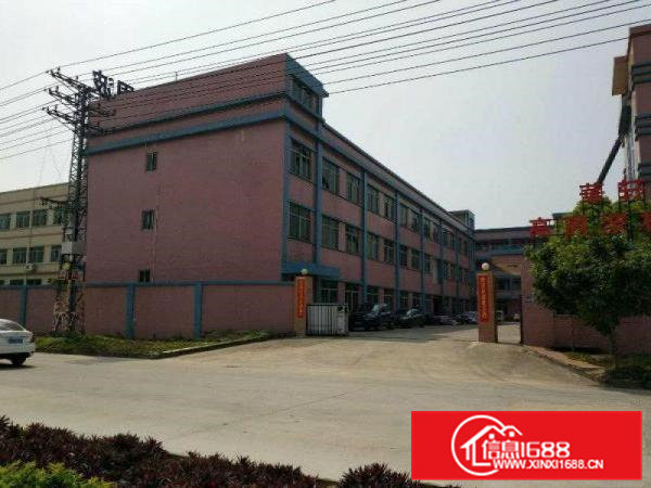 茶山新岀独院厂房分租二楼800平方带地坪漆出租