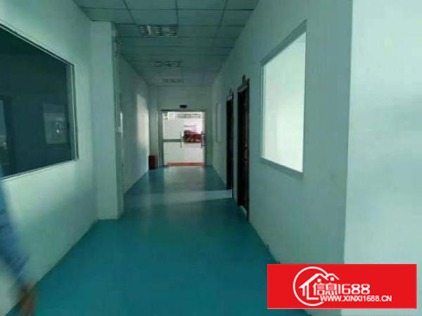 出租石排镇石排城区300平方厂房，精装修