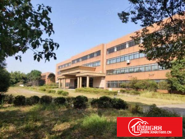 不拆迁伦教园区厂房出租国有证电大空地大办公宿舍配套