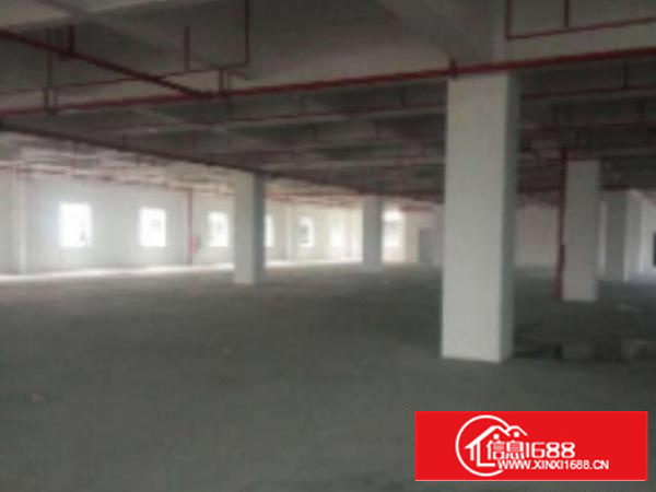 高埗独院标准厂房仓库500至20000平方招租空地大