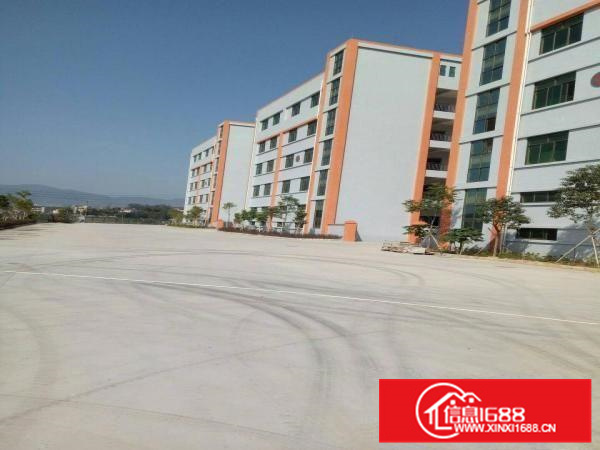 新出原房东独栋8000平火爆招租