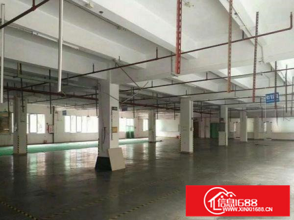 凤岗塘沥工业区分租楼上1600平方现成地坪漆豪华装修