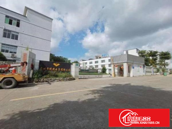 三中新出楼上精装修650平方出租