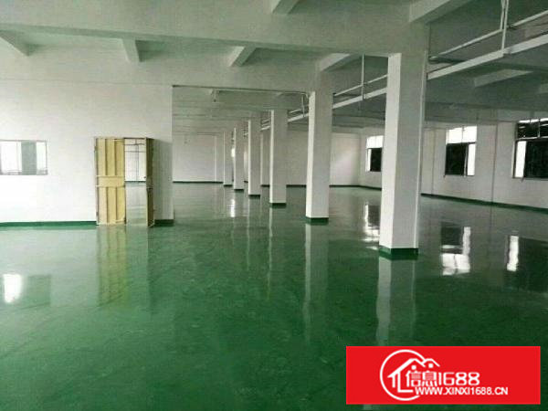 横沥镇政府附近厂房11200平米独院