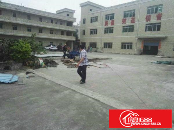 坑梓秀新新出5米一楼标准厂房800平厂房招租