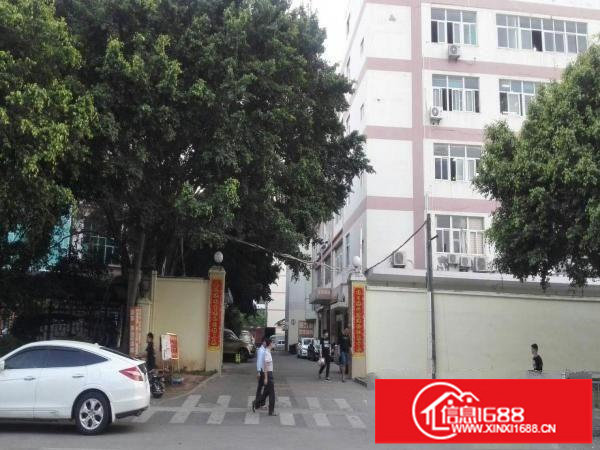 独院正规标准厂房300平米招租