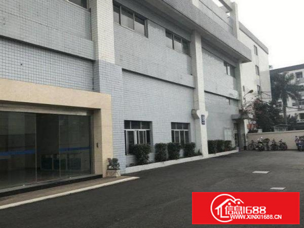 惠阳新墟园区标准一楼1050平米可以分租