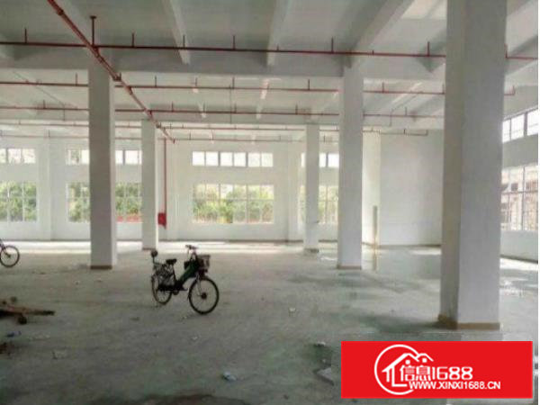 原房东厂房)1000平方米)一楼厂房)楼上厂房出租