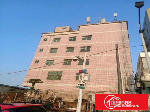 红本、消防、证件齐全