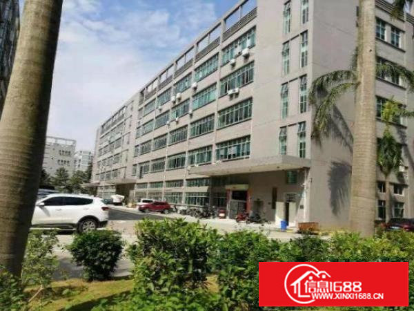 布吉李朗2万平方红本厂房出租100分租一楼高度6米