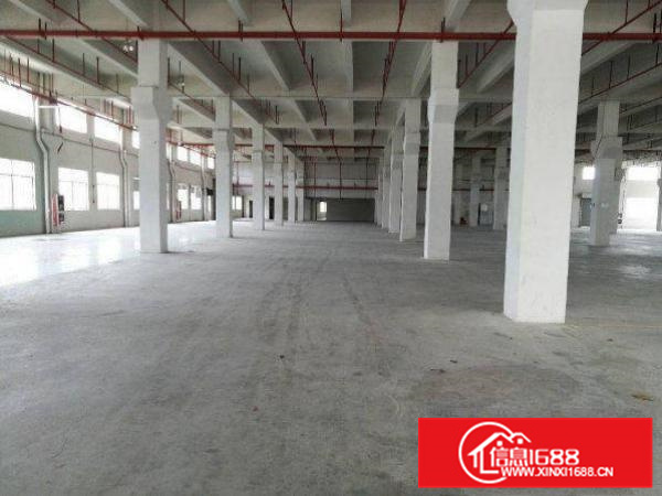 出租惠阳镇隆一楼800平方厂房带水电装修