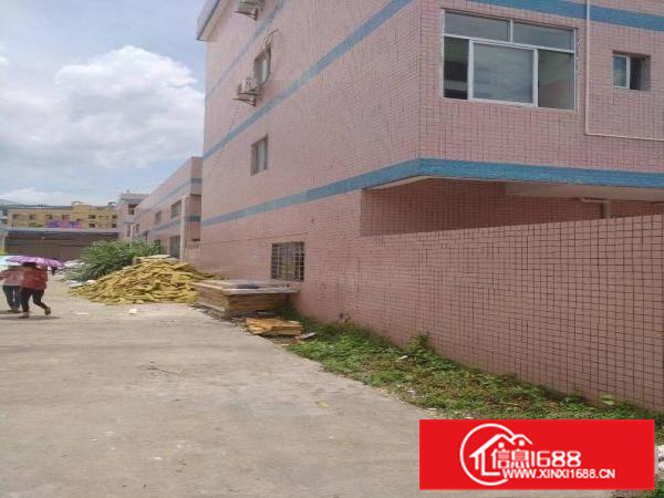 长布独门独院原房东单一层厂房1300平方出租