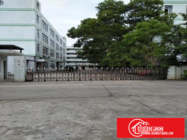 横岗荷坳地铁站新出一、二、三楼共4500平厂房出租