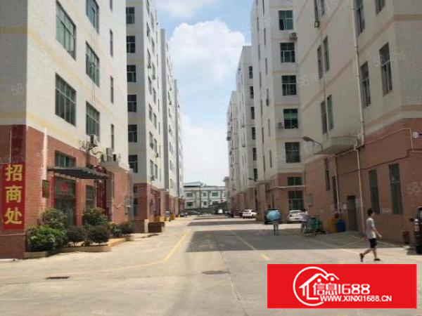 凤岗金凤凰新出一楼标准厂房400平方，高度6米，现成办公室