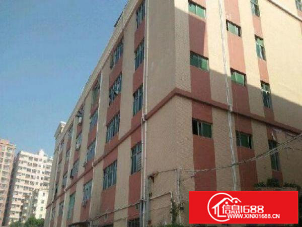 干道边楼上精装修380平标准厂房