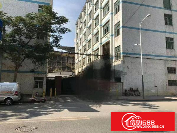 坂田新出独门独院厂房13000平米，可分租