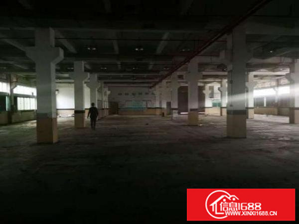 出租龙岗大运村委6000平方独院厂房可分租可生产可做电商仓库