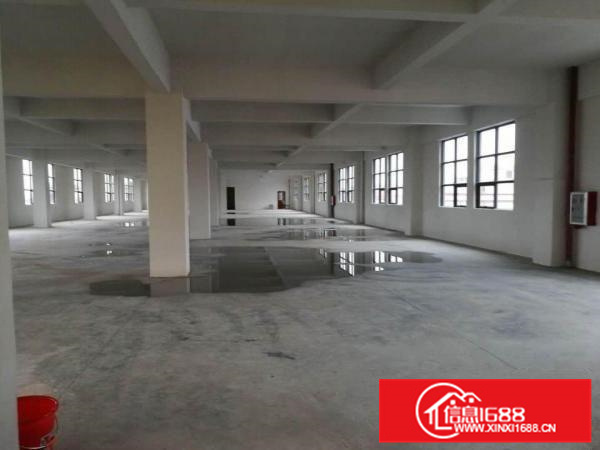 里水镇中心区全新标准厂房出租可以分租600平方起租