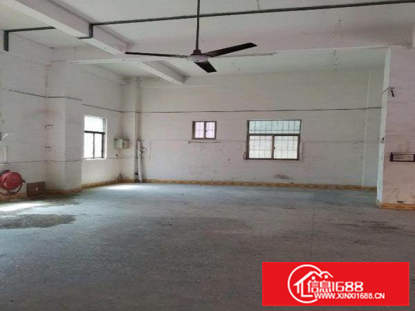 一楼厂房出租，房东直租，中介勿扰