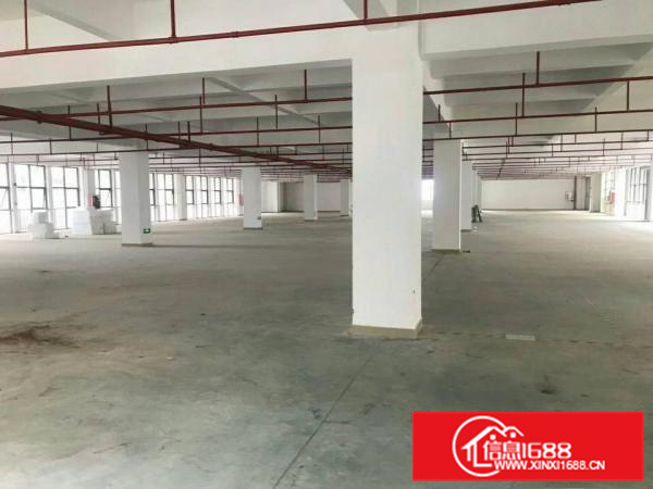 惠阳新圩新出标准独院厂房8000平米平价出租