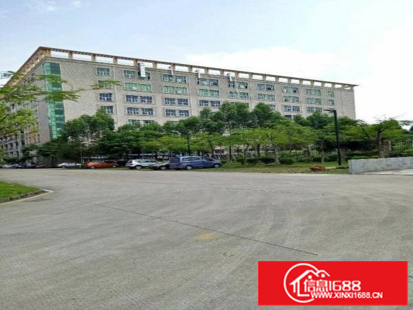 坪山区坑梓龙田社区莹展科技园一楼厂房1650平米有红本