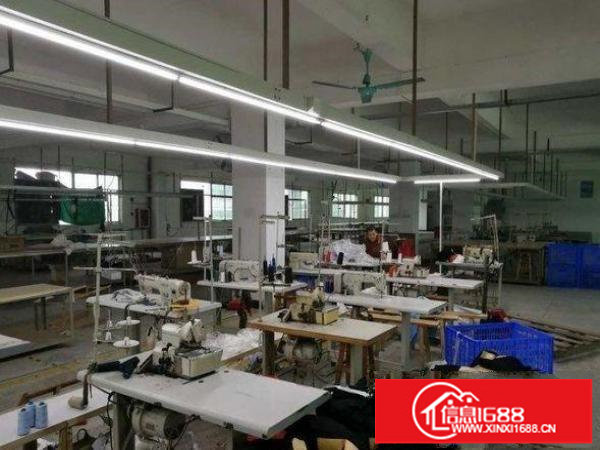 坪山深汕路原房东厂房分租楼上楼1300平方有电梯