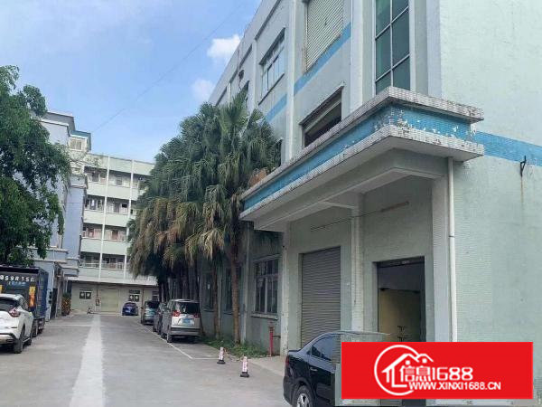 塘厦林村标准厂房一楼500平米红本厂房玻璃隔间多个水电齐全