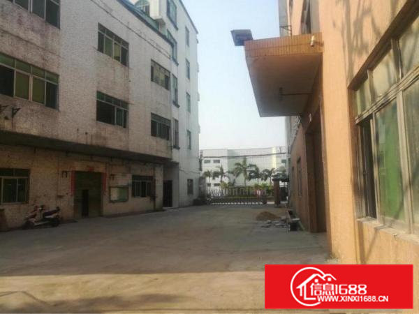 全石排便宜的厂房13块钱9200平独门独户