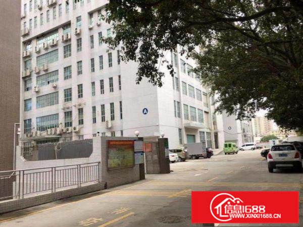 新出楼上1100平米带装修招租厂房出租