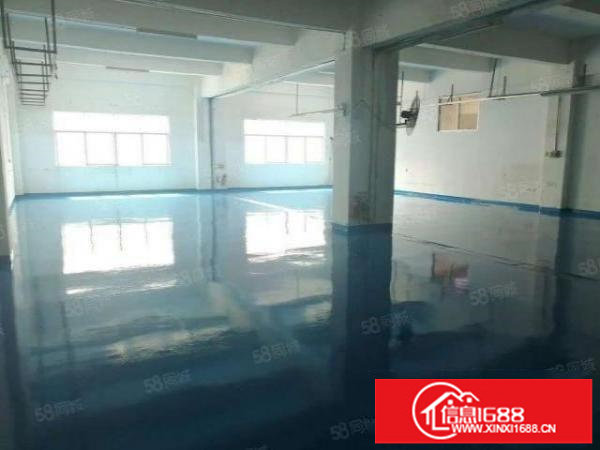 观澜新田标准厂房楼上530平方，精装修厂房出租形象好交通便