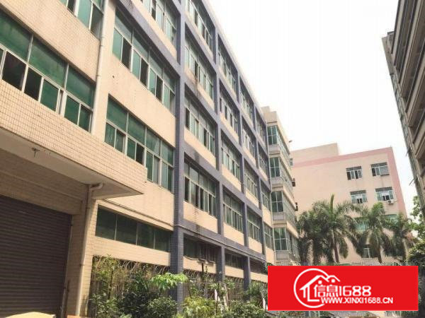 石岩水田新出楼上750平带现成装修无转让费厂房出租