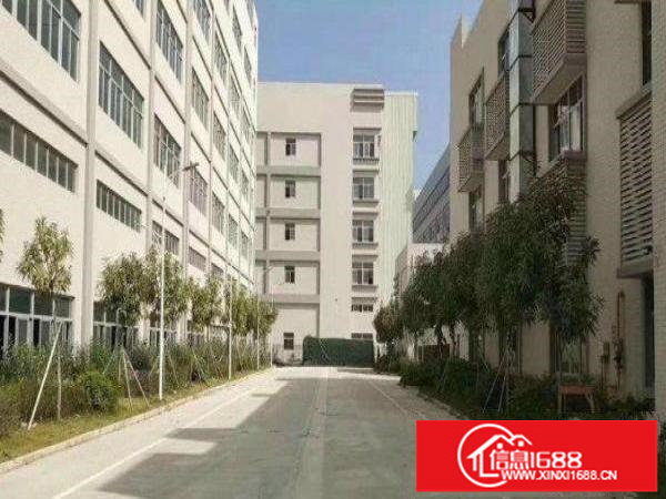 平湖实际面积1800平方带装修无尘车间出租