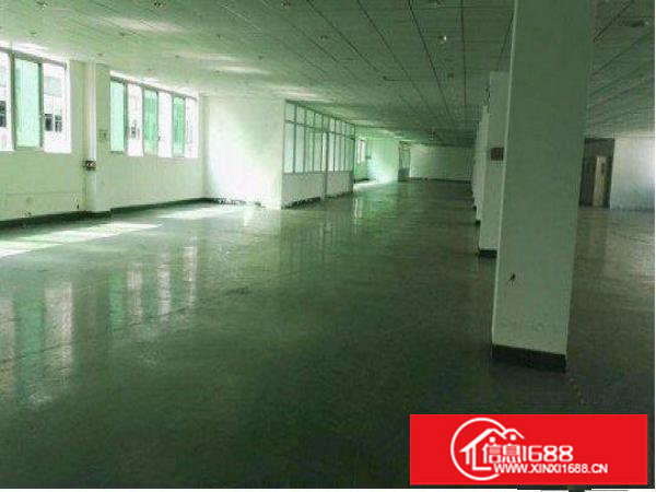 坂田地铁口和勘一楼1000平可分租带现成装修