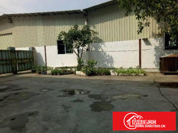 平湖辅城坳单一层钢结构厂房3000平方可以分租