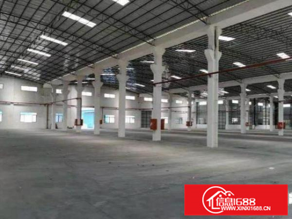 容桂海尾钢构1480平带装修厂房招租