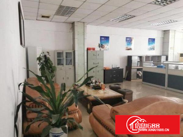 新出钢构1100平，超低价吊顶办公室拎包生产