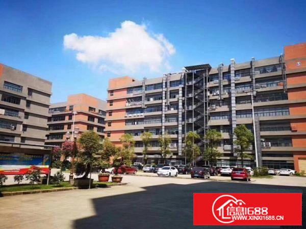 凤岗雁田大型工业园形象好标准厂房出租5万平方大小分租可办环评