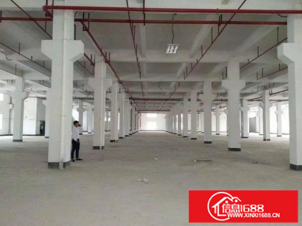 平湖华南城独院17500平对外急租可分租交通方便