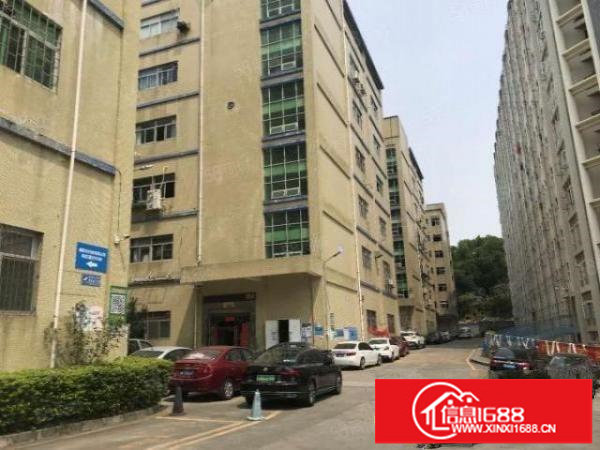 布吉文博宫附近1500平红本精装修厂房带办公室厂房出租