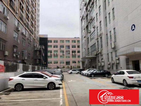 新出楼上1100平米带装修招租厂房出租