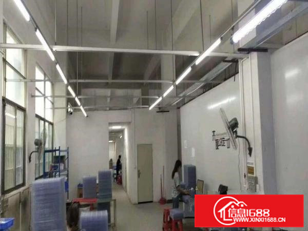 凤岗金凤凰6米高适合各行业标准一楼1000平米出租好招工