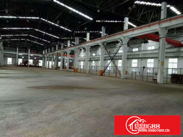 龙岗区坪地新出1200平高10米钢构厂房招租