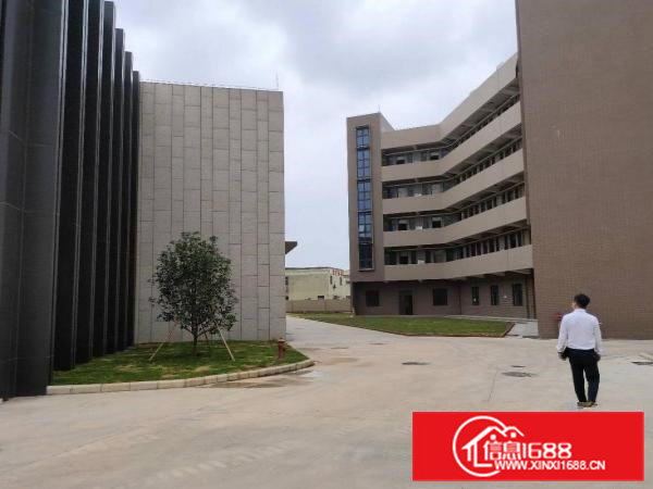 大朗成熟工业区新建厂房独院，环评秒过，工业用地形象漂亮