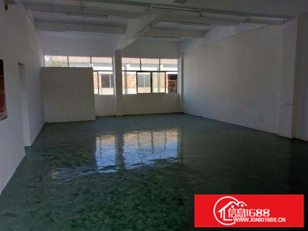 虎门树田新出2楼带装修700平方厂房出租