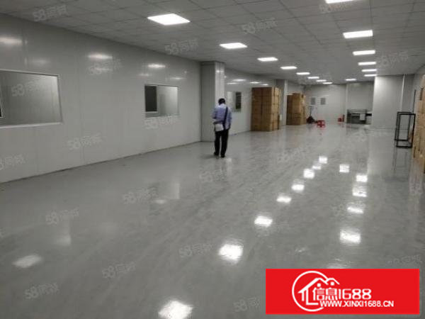 1300平楼上现成无尘车间，无需转让费，拎包入住