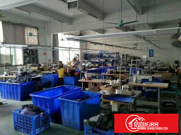 花园式厂房760带豪华办公室装修