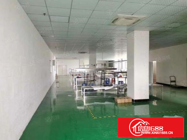 厦岗新出二楼带装修1300平方米厂房出租