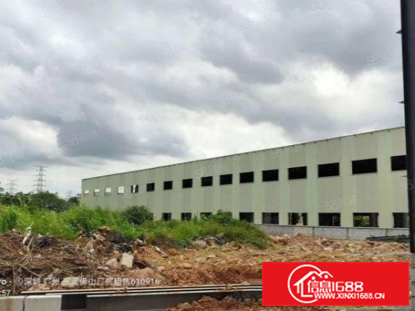 高埗新出原房东单一层2200平方，滴水8米价格16