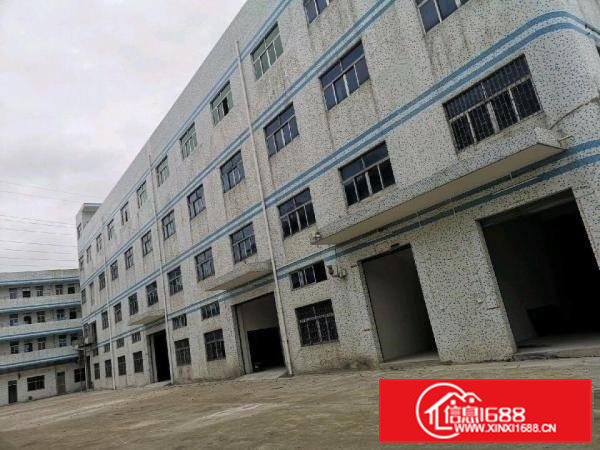 原房东独院厂房整租出租